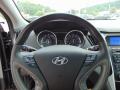 2011 Sonata Limited #19