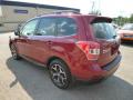 2014 Forester 2.0XT Touring #9