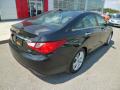 2012 Sonata Limited #9