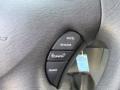 Controls of 2007 Dodge Caravan SXT #30