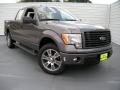 2014 F150 STX SuperCrew #2