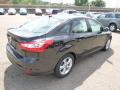 2014 Focus SE Sedan #8