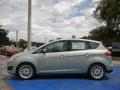  2014 Ford C-Max Ice Storm #2