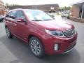 2015 Sorento SX AWD #2 2015 Sorento SX AWD #2