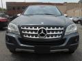 2010 ML 350 4Matic #2