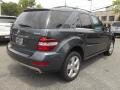 2010 ML 350 4Matic #4