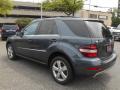 2010 ML 350 4Matic #6