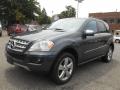 2010 ML 350 4Matic #7