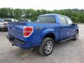 2014 F150 STX SuperCrew 4x4 #8 2014 F150 STX SuperCrew 4x4 #8