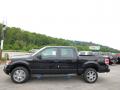2014 F150 STX SuperCrew 4x4 #5