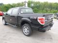 2014 F150 STX SuperCrew 4x4 #6