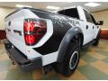 2014 F150 SVT Raptor SuperCrew 4x4 #6