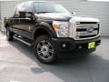 2015 F250 Super Duty Platinum Crew Cab 4x4 #2