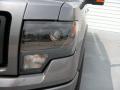 2014 F150 FX4 SuperCrew 4x4 #9