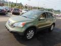 2009 CR-V EX-L 4WD #5