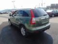 2009 CR-V EX-L 4WD #7