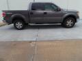 2013 F150 XLT SuperCrew 4x4 #5
