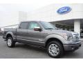 2014 F150 Platinum SuperCrew 4x4 #1 2014 F150 Platinum SuperCrew 4x4 #1