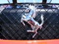 Ferrari Horse #10