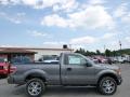  2014 Ford F150 Sterling Grey #1