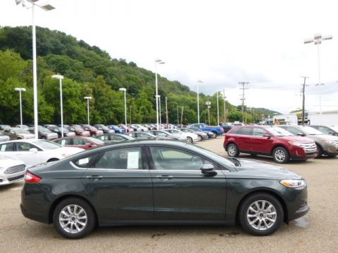 Guard Metallic Ford Fusion S.  Click to enlarge.