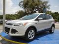 2014 Escape SE 1.6L EcoBoost #1 2014 Escape SE 1.6L EcoBoost #1