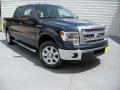 2014 F150 XLT SuperCrew #2