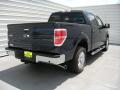 2014 F150 XLT SuperCrew #4
