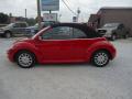 2005 New Beetle GLS Convertible #8