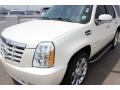 2009 Escalade AWD #3 2009 Escalade AWD #3