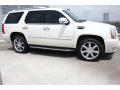 2009 Escalade AWD #9 2009 Escalade AWD #9