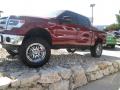 2014 F150 Lariat SuperCrew 4x4 #3