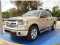 2014 F150 XLT SuperCrew #1 2014 F150 XLT SuperCrew #1