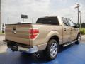 2014 F150 XLT SuperCrew #3 2014 F150 XLT SuperCrew #3