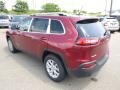 2014 Cherokee Latitude 4x4 #8