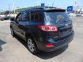 2010 Santa Fe SE 4WD #7