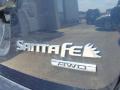 2010 Santa Fe SE 4WD #10