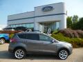 2013 Escape Titanium 2.0L EcoBoost 4WD #1