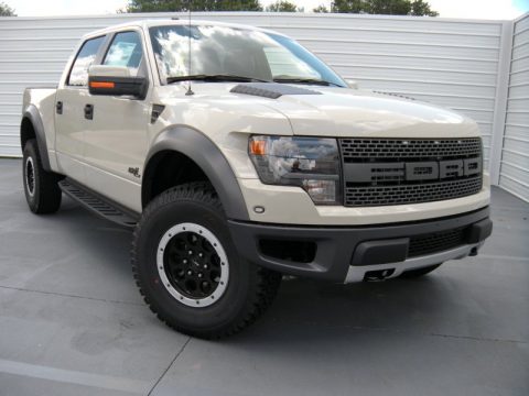 Terrain Ford F150 SVT Raptor SuperCrew 4x4.  Click to enlarge.