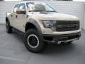 2014 F150 SVT Raptor SuperCrew 4x4 #2