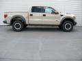  2014 Ford F150 Terrain #3