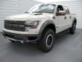  2014 Ford F150 Terrain #7
