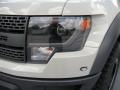 2014 F150 SVT Raptor SuperCrew 4x4 #9