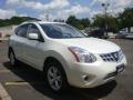 2011 Rogue SV AWD #3 2011 Rogue SV AWD #3