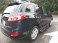 2010 Santa Fe Limited 4WD #5 2010 Santa Fe Limited 4WD #5
