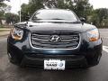 2010 Santa Fe Limited 4WD #8 2010 Santa Fe Limited 4WD #8