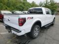 2014 F150 FX4 SuperCrew 4x4 #2 2014 F150 FX4 SuperCrew 4x4 #2