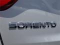 2015 Sorento SX #8 2015 Sorento SX #8