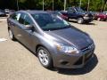 2014 Focus SE Sedan #2