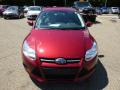 2014 Focus SE Sedan #3